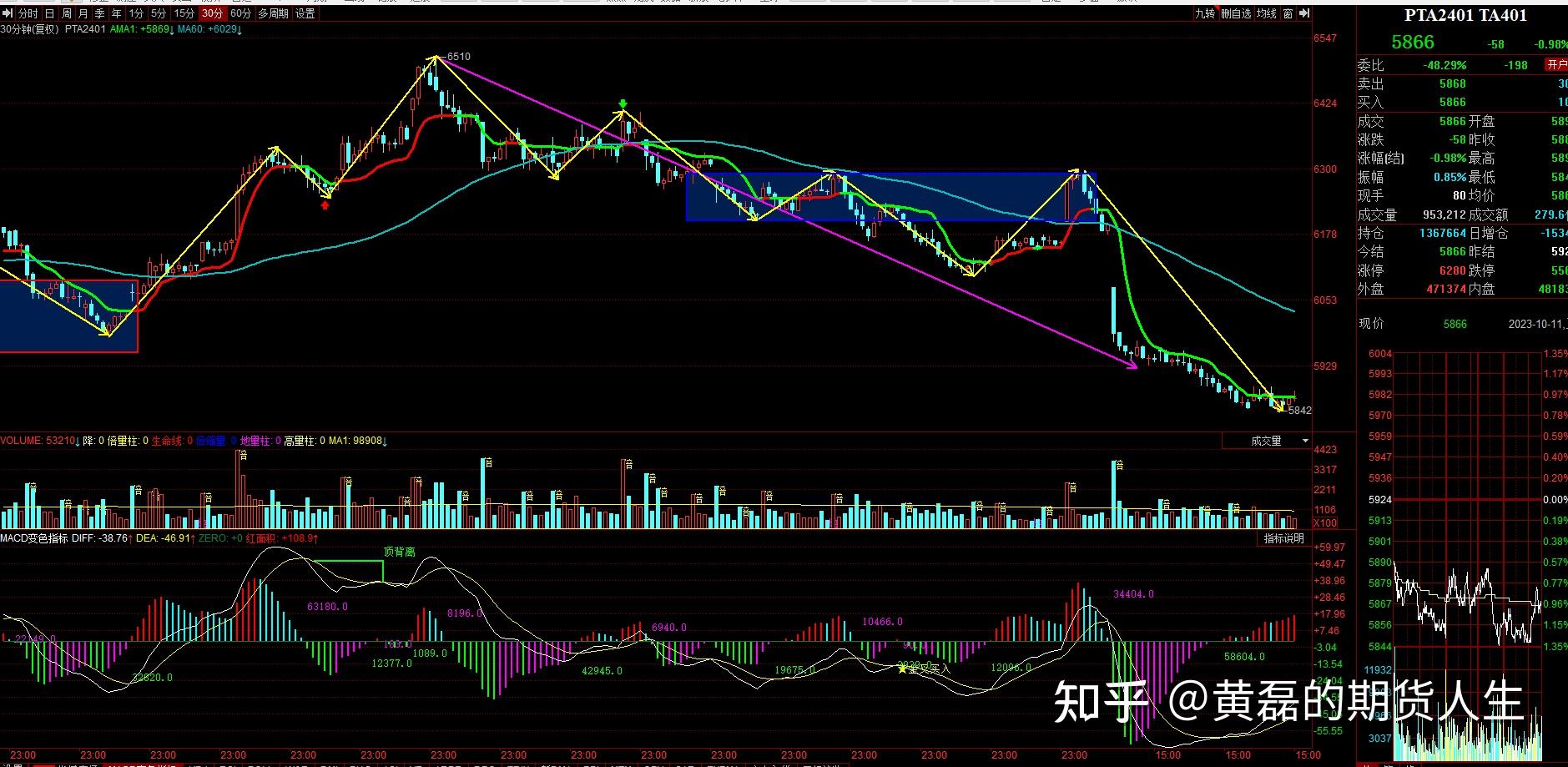 10月11日PTA期货持仓龙虎榜分析：多方呈进场态势