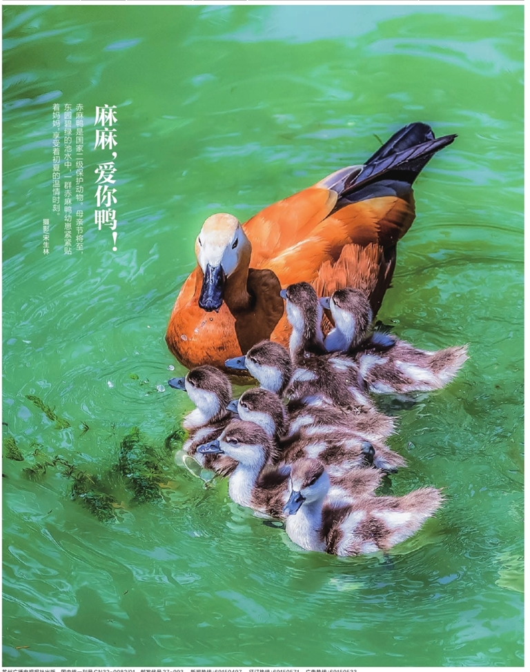 广西“鬼节”鸭市旺 年轻人“花式”选鸭传温情
